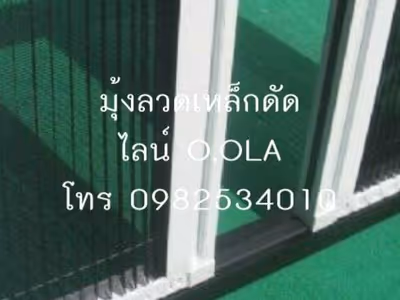 ภาพแกลลอรี่ 11